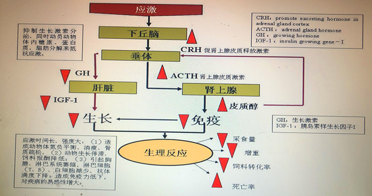 18，軟文圖片中.jpg